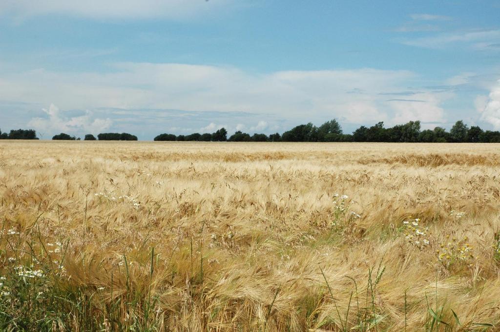 Ferienanlage Wildt Petersdorf auf Fehmarn Exterior foto